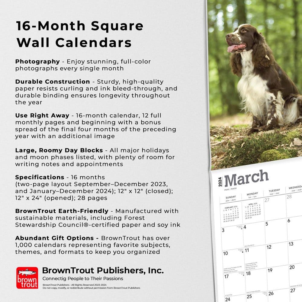 English Springer Spaniels  2024 Wall Calendar Alternate Image 4