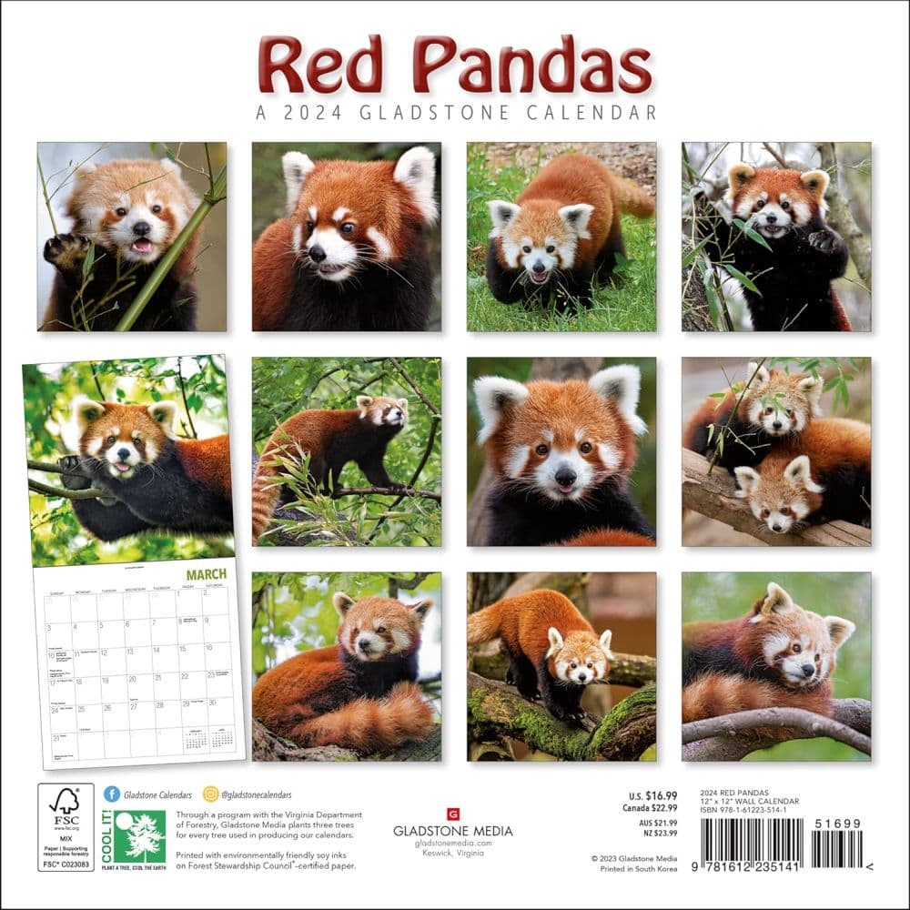 Red Pandas 2024 Wall Calendar First Alternate Image width=&quot;1000&quot; height=&quot;1000&quot;