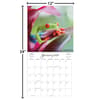 image Costa Rica 2025 Wall Calendar