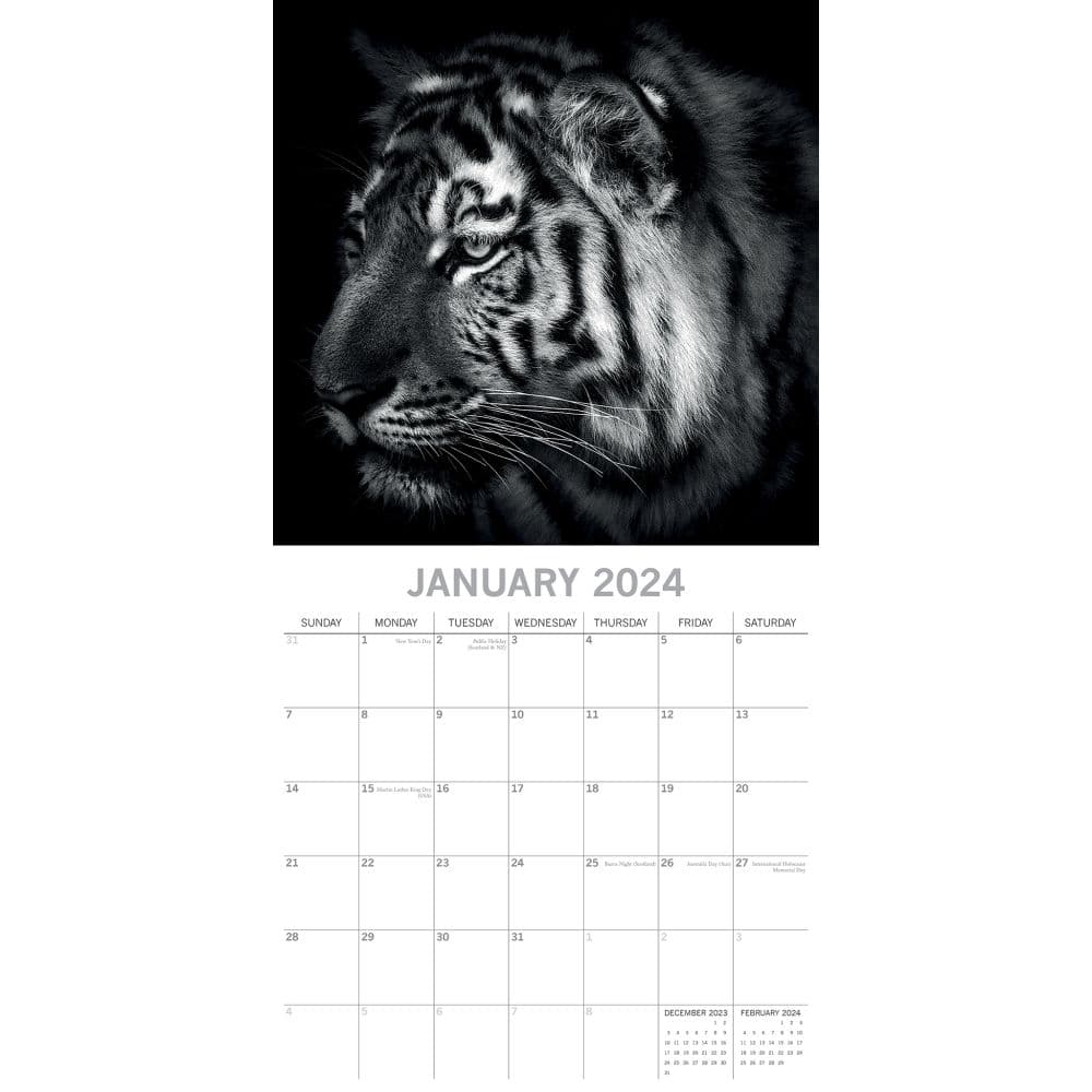 Wild Portraits 2024 Wall Calendar January