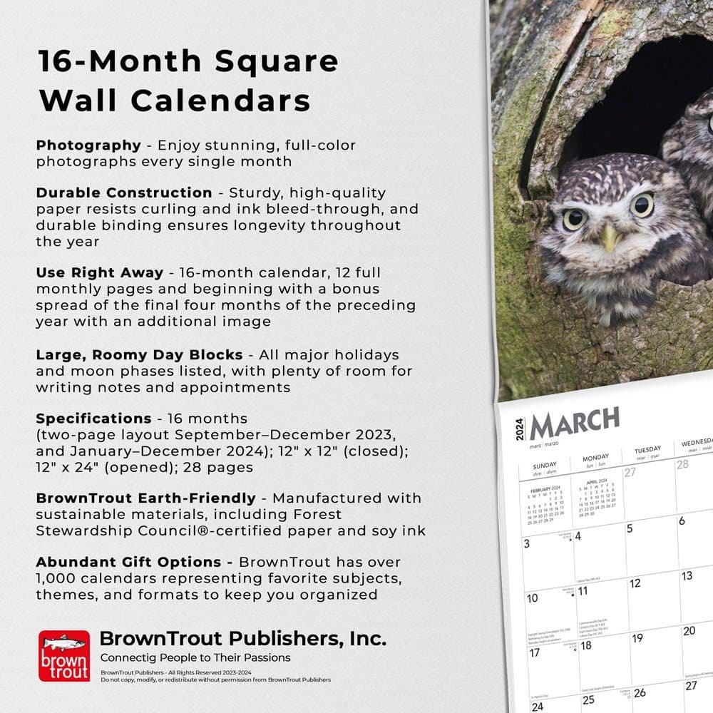 Owls 2024 Wall Calendar