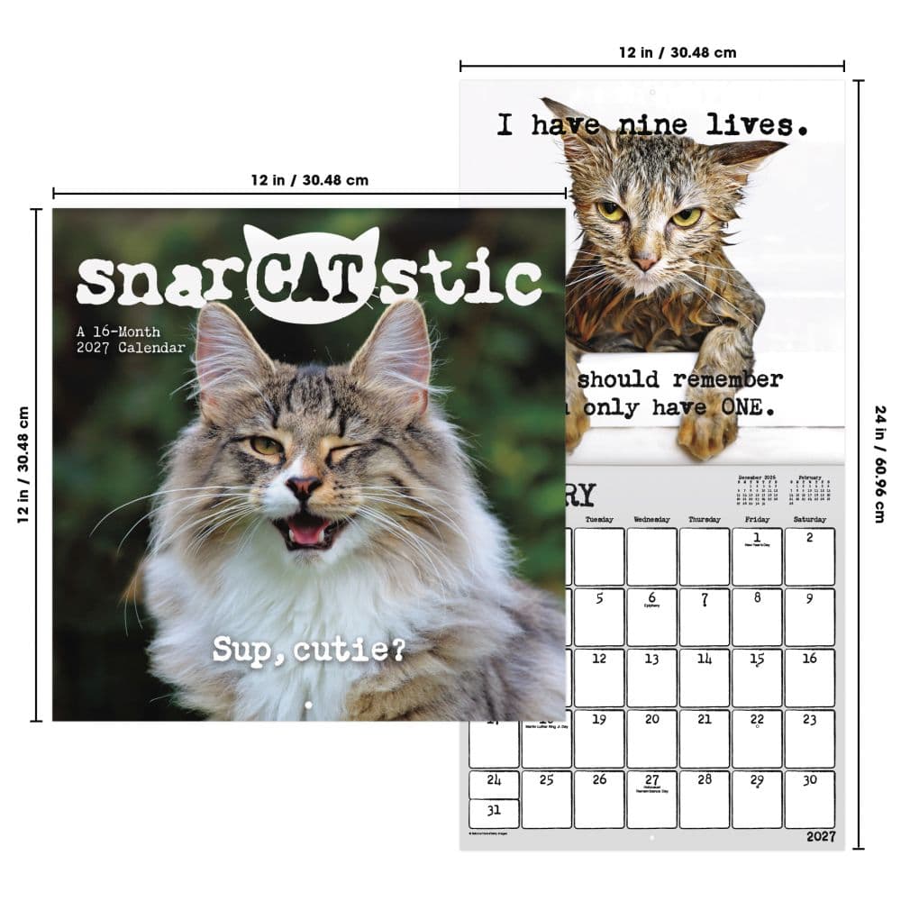 Snarcatstic 2027 Wall Calendar Sixth Alternate Image