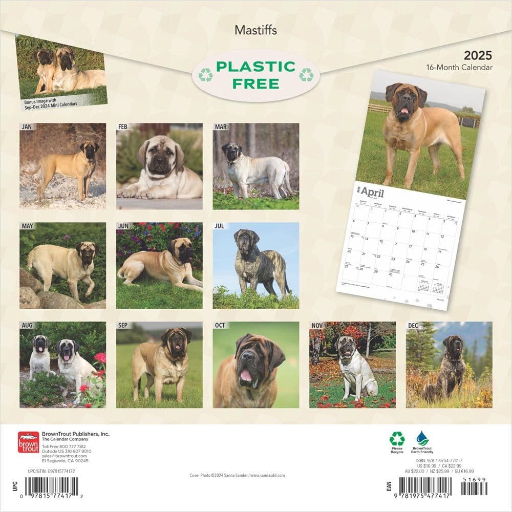 Mastiffs 2025 Wall Calendar First Alternate Image width=&quot;1000&quot; height=&quot;1000&quot;