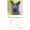 image Cats 2026 Wall Calendar Second Alternate Image