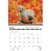 image Labs Afield 2027 Wall Calendar Second Alternate Image