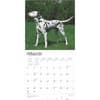 image Dalmatians 2025 Wall Calendar Second Alternate Image