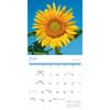 image Sunflowers 2026 Wall Calendar Third Alternate Image