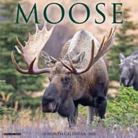 image Just Moose 2026 Wall Calendar Main Image