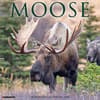 image Just Moose 2026 Wall Calendar Main Image