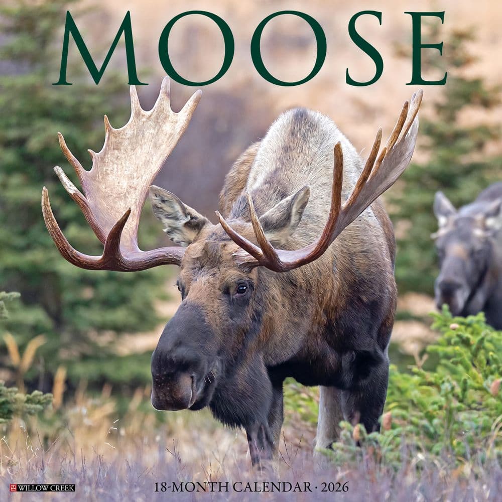 Just Moose 2026 Wall Calendar Main Image