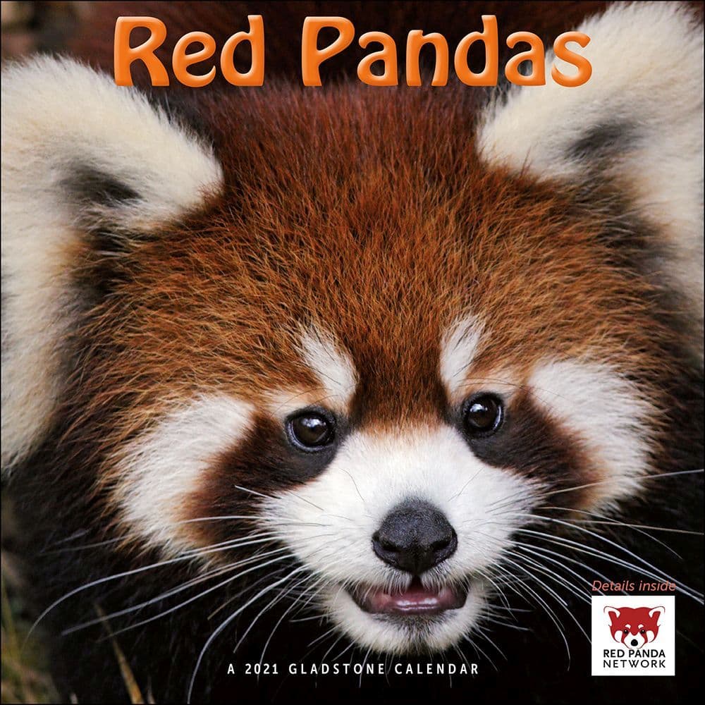 Red Pandas Wall Calendar - Calendars.com