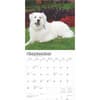 image Great Pyrenees 2025 Wall Calendar Third Alternate Image width=&quot;1000&quot; height=&quot;1000&quot;