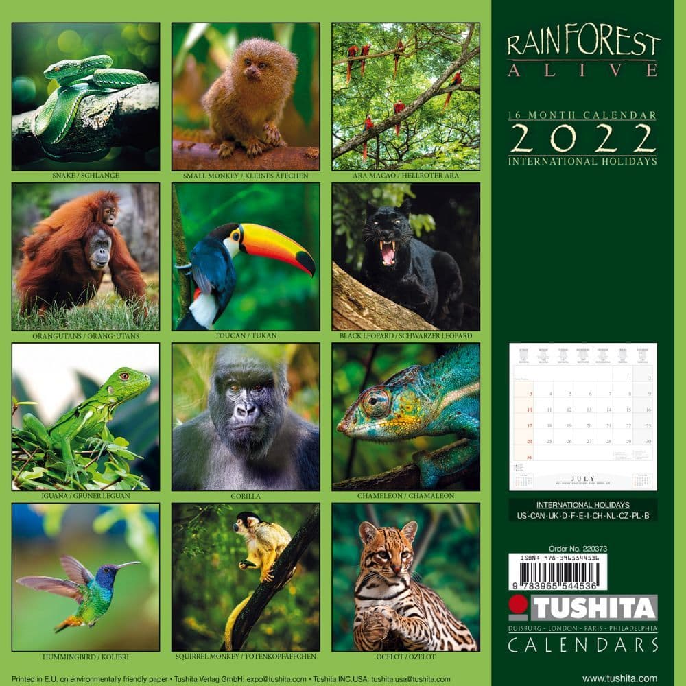 Rainforest Alive Tushita 2022 Wall Calendar - Calendars.com