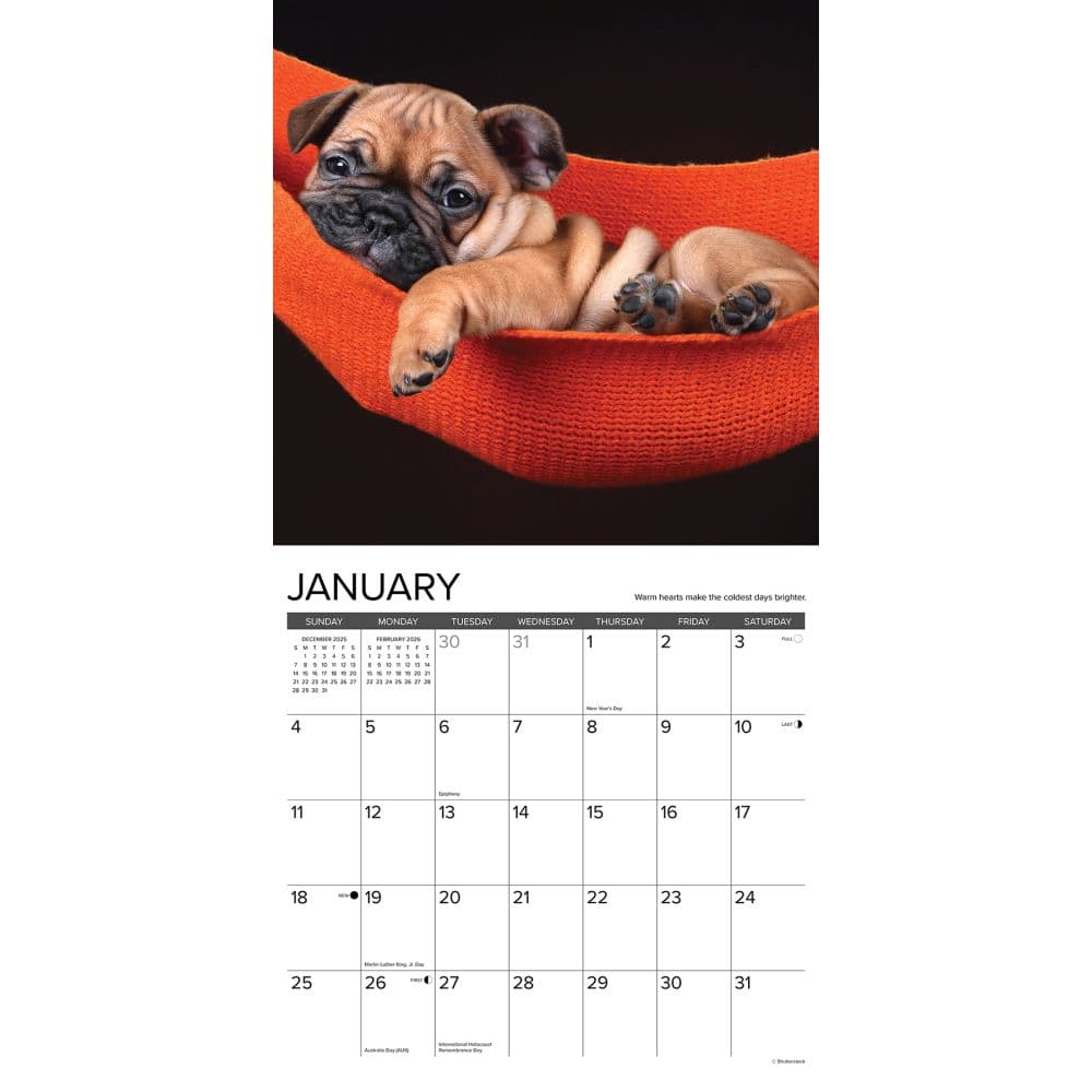 What Puppies Teach Us 2026 Wall Calendar Second Alternate Image