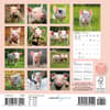 image Piglets 2026 Mini Wall Calendar First Alternate Image