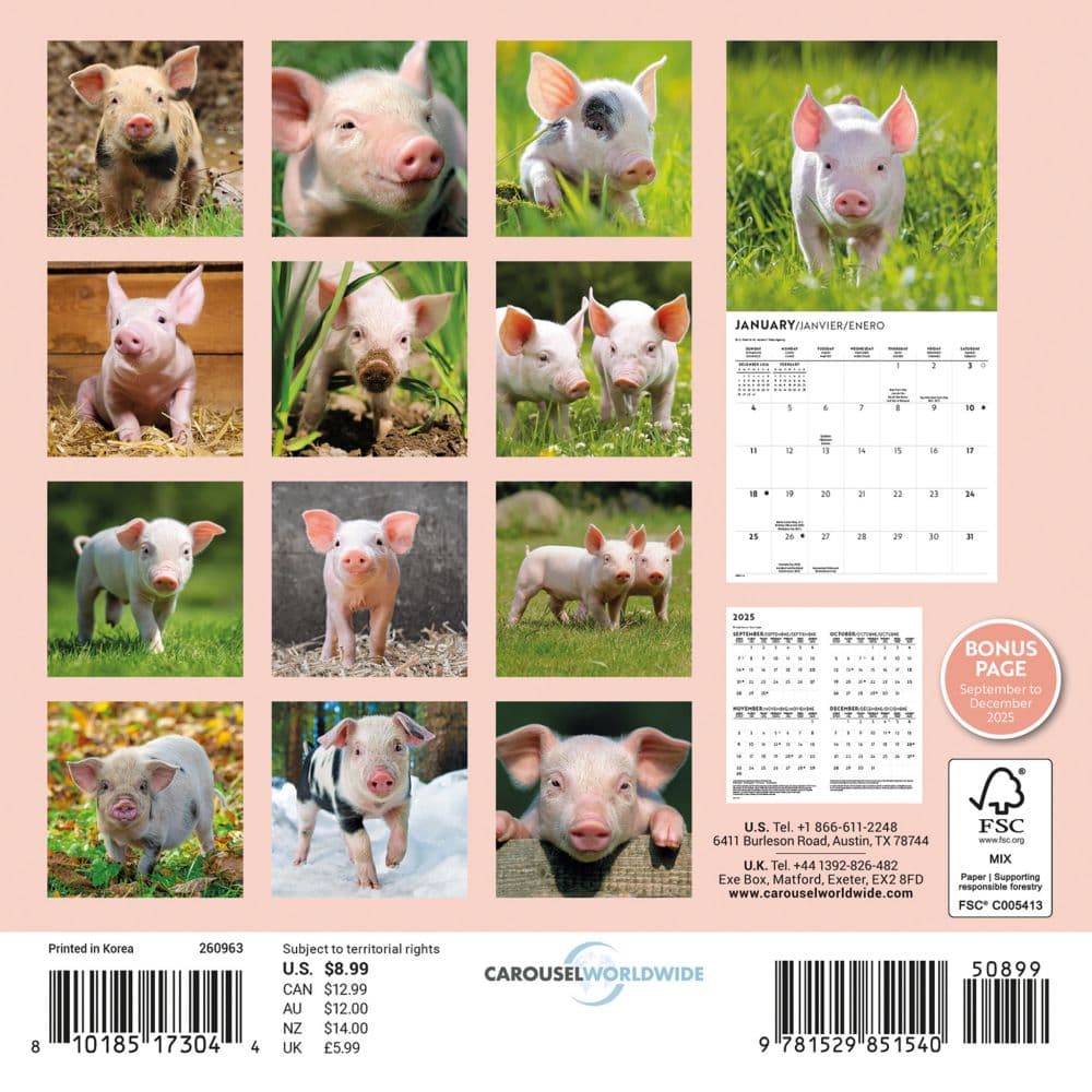 Piglets 2026 Mini Wall Calendar First Alternate Image