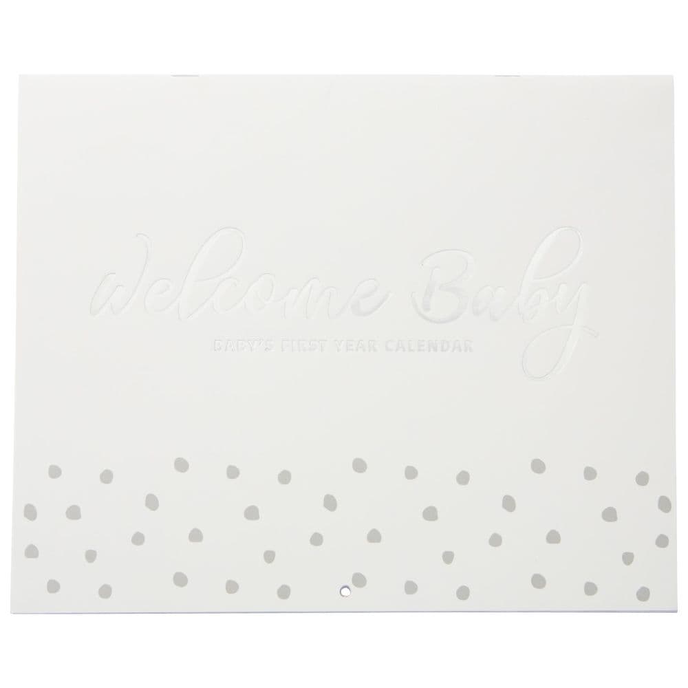 Welcome Baby First Year Calendar Main Image
