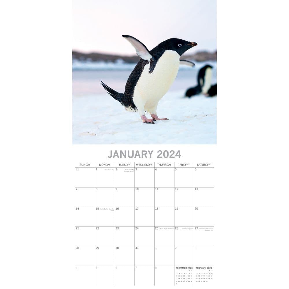 Penguins 2024 Wall Calendar