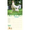 image How to Speak Chicken 2024 Wall Calendar Alternate Image 1