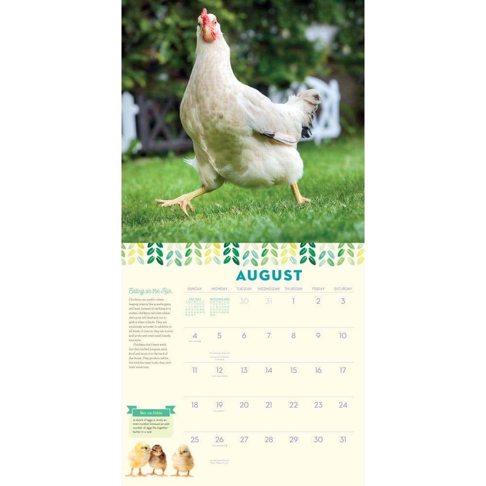 How to Speak Chicken 2024 Wall Calendar Alternate Image 1
