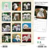 image Bichon Frise Puppies 2024 Wall Calendar First Alternate Image width=&quot;1000&quot; height=&quot;1000&quot;