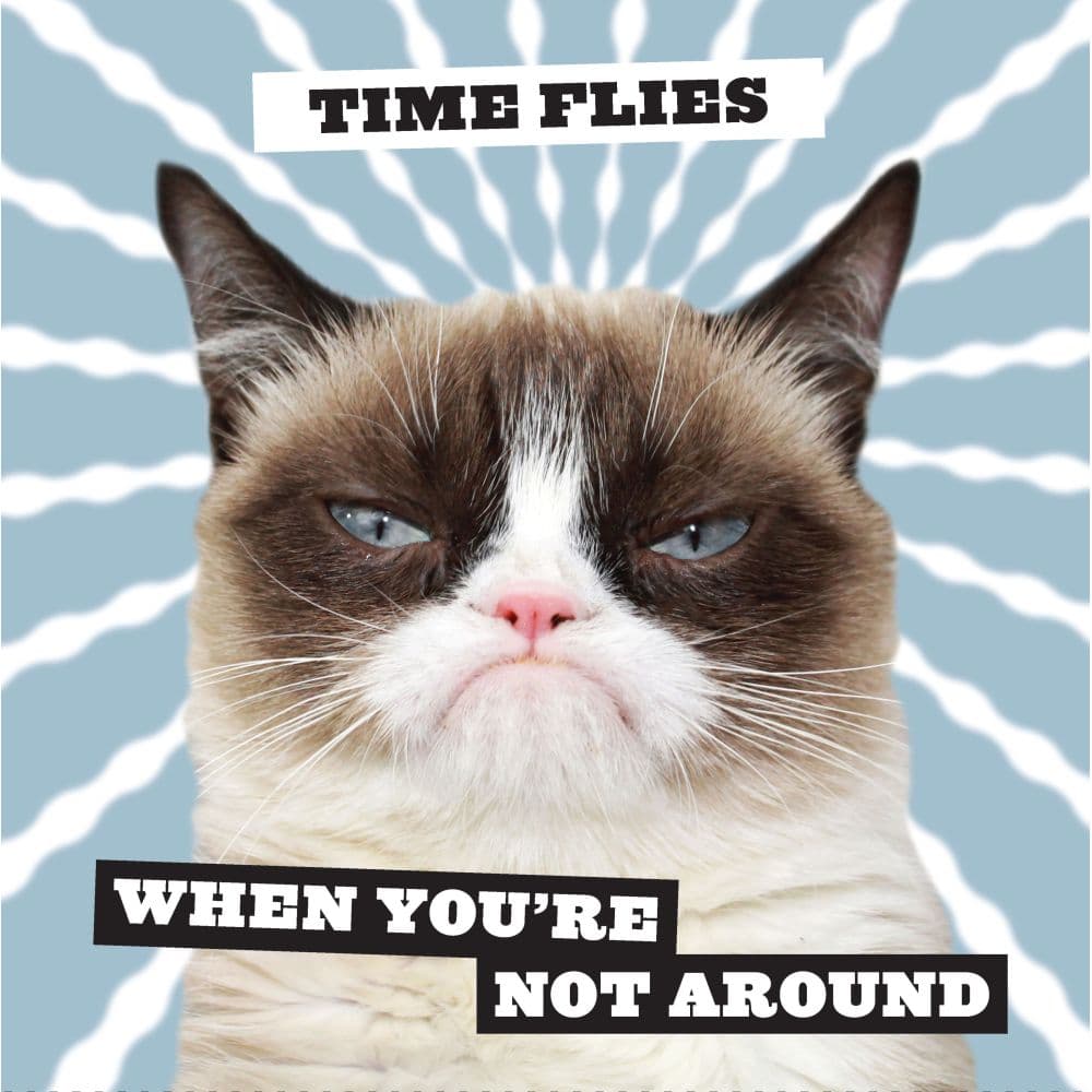 Grumpy Cat 2023 Wall Calendar - Calendars.com