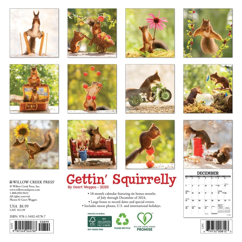 Gettin Squirrelly 2025 Mini Wall Calendar