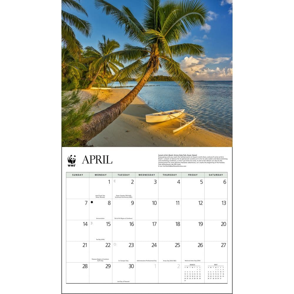 Islands WWF 2024 Wall Calendar