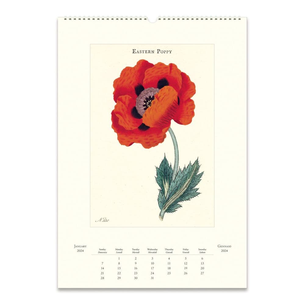 Botanica Art 2024 Poster Wall Calendar