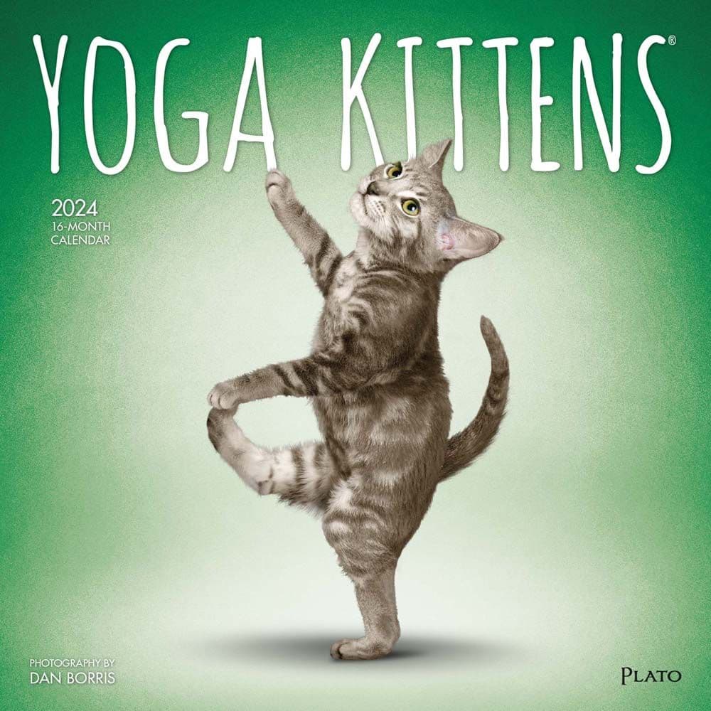 Yoga Kittens 2024 Wall Calendar Main Product Image width=&quot;1000&quot; height=&quot;1000&quot;