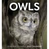 image Chappell Owls 2025 Wall Calendar Main Image