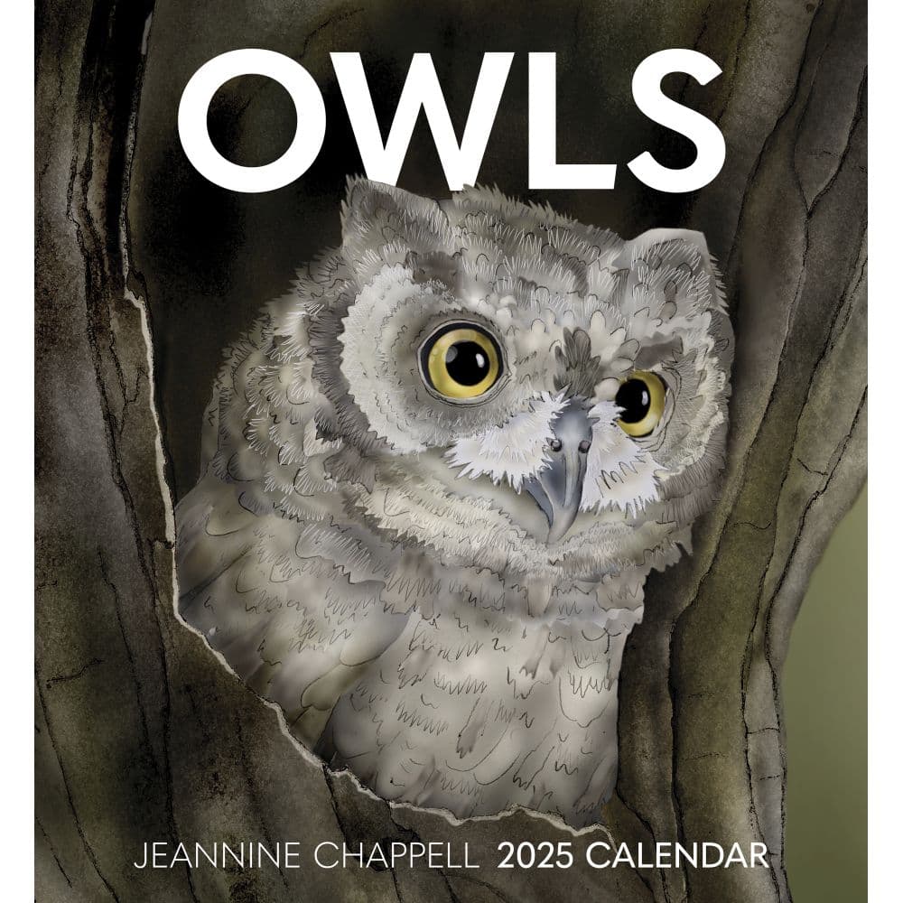 Chappell Owls 2025 Wall Calendar Main Image