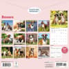 image Boxers 2026 Wall Calendar First Alternate Image