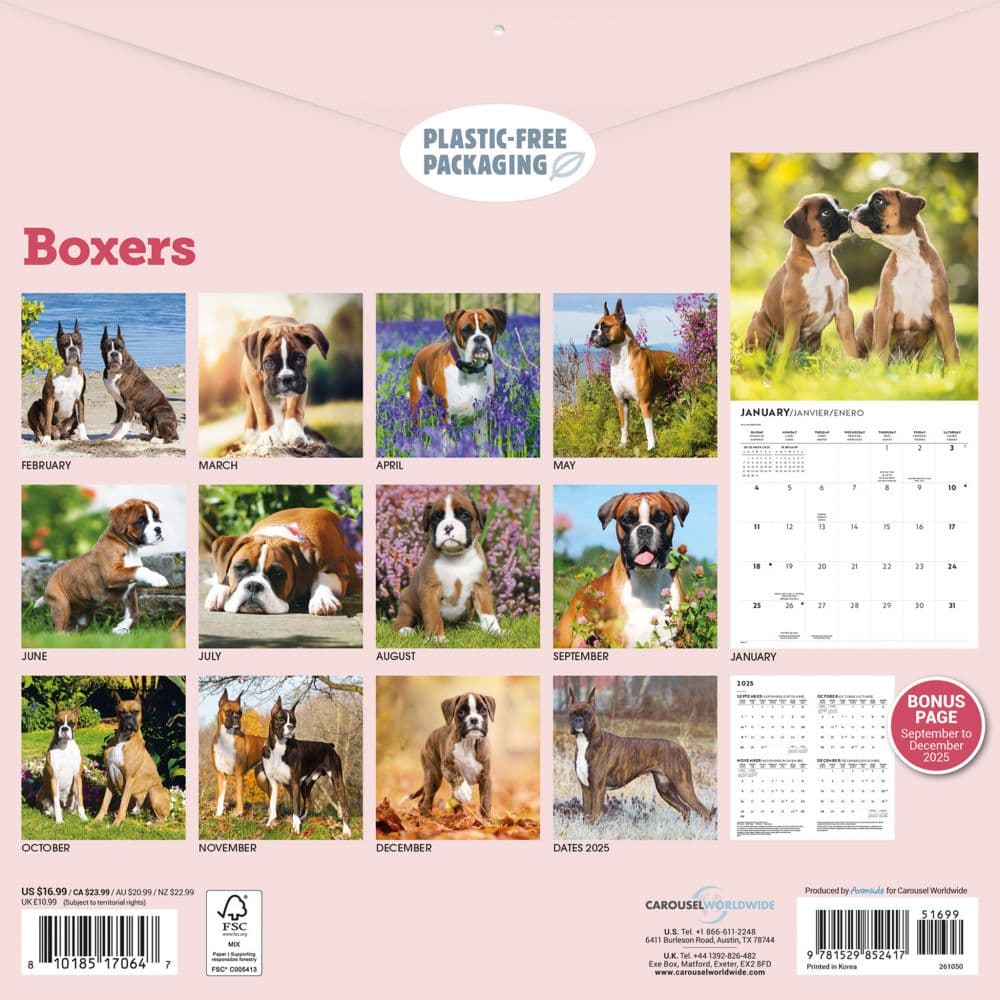 Boxers 2026 Wall Calendar First Alternate Image