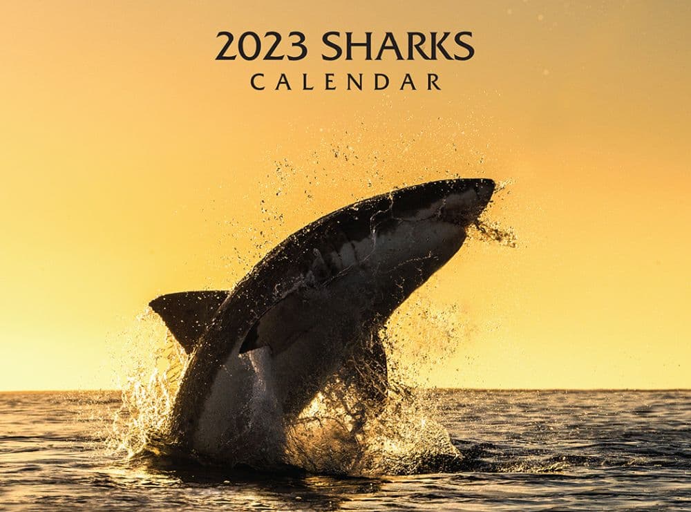 Silver Creek Press Sharks 2023 Wall Calendar