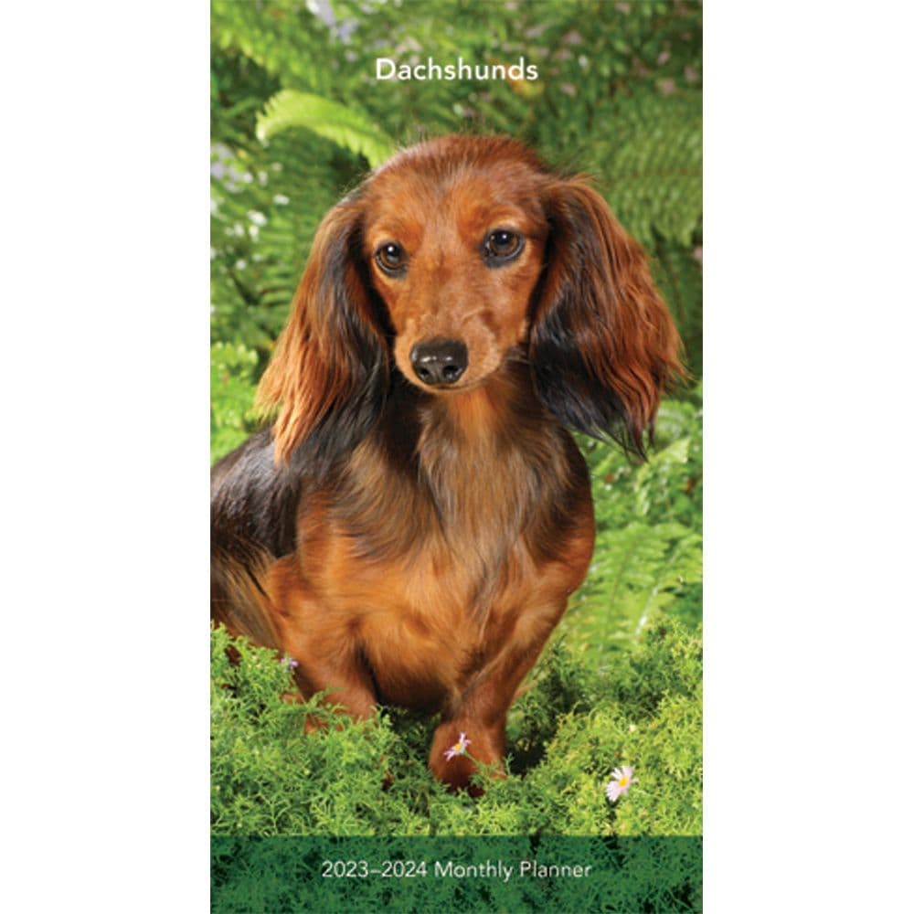 BrownTrout Dachshunds 2023 Two-Year Pocket Planner