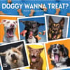 image Doggy Want A Treat 2024 Wall Calendar Main Product Image width=&quot;1000&quot; height=&quot;1000&quot;