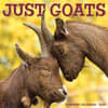 image Goats 2025 Wall Calendar  Main Image