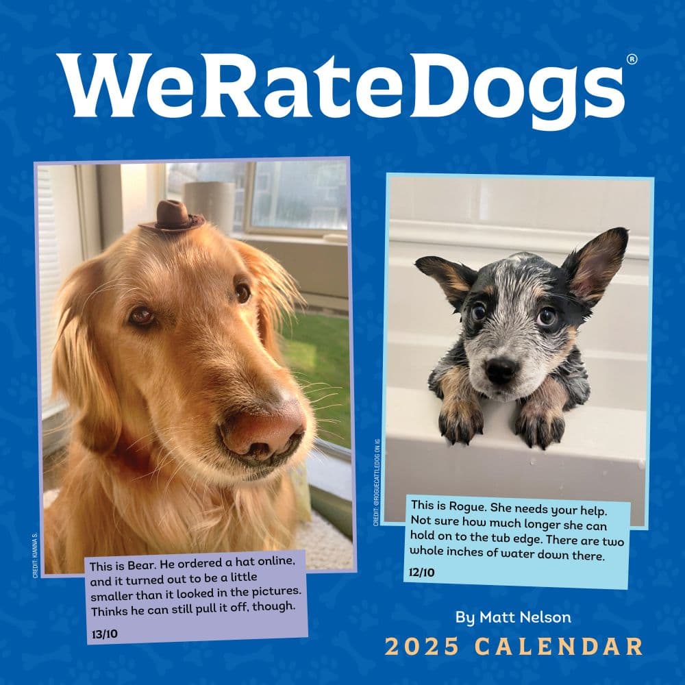 We Rate Dogs 2025 Wall Calendar Main Product Image width=&quot;1000&quot; height=&quot;1000&quot;