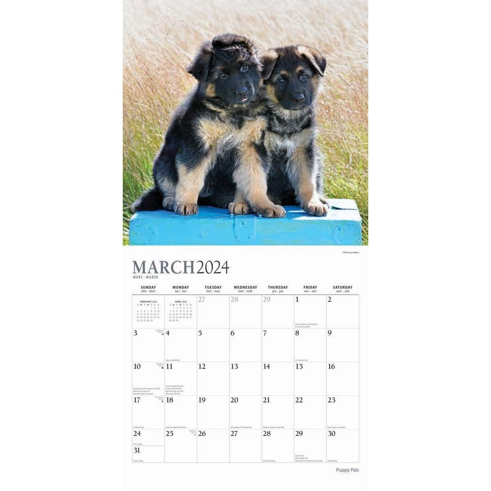 Puppy Pals 2024 Wall Calendar