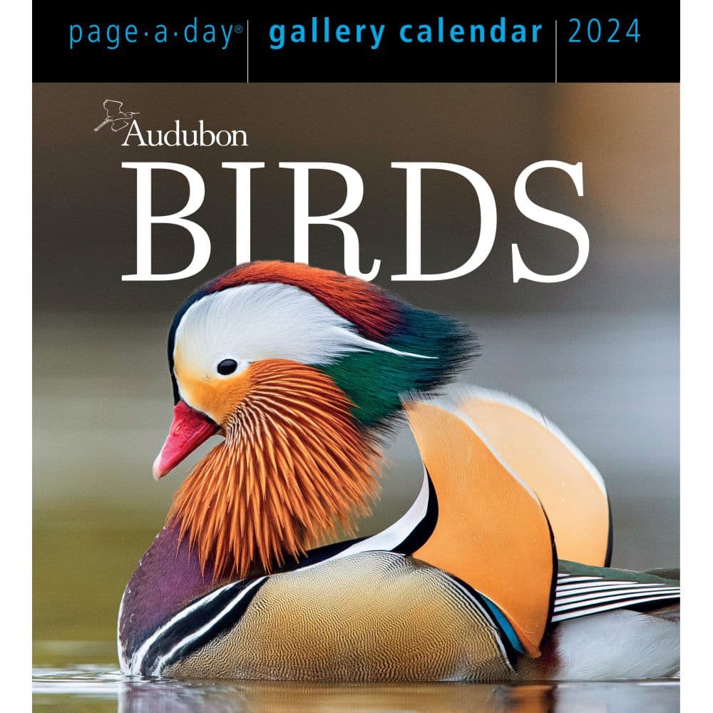 Audubon Birds Gallery 2024 Desk Calendar