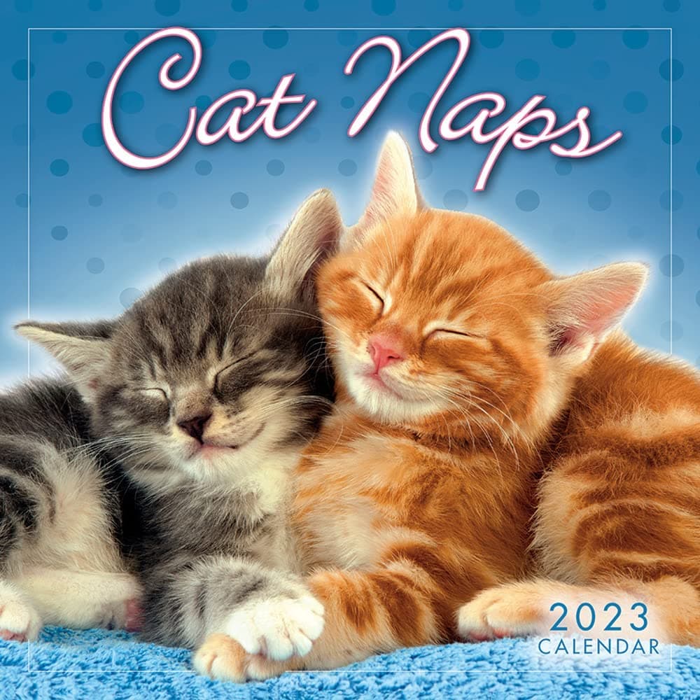 Cat Naps 2023 Mini Wall Calendar Calendars