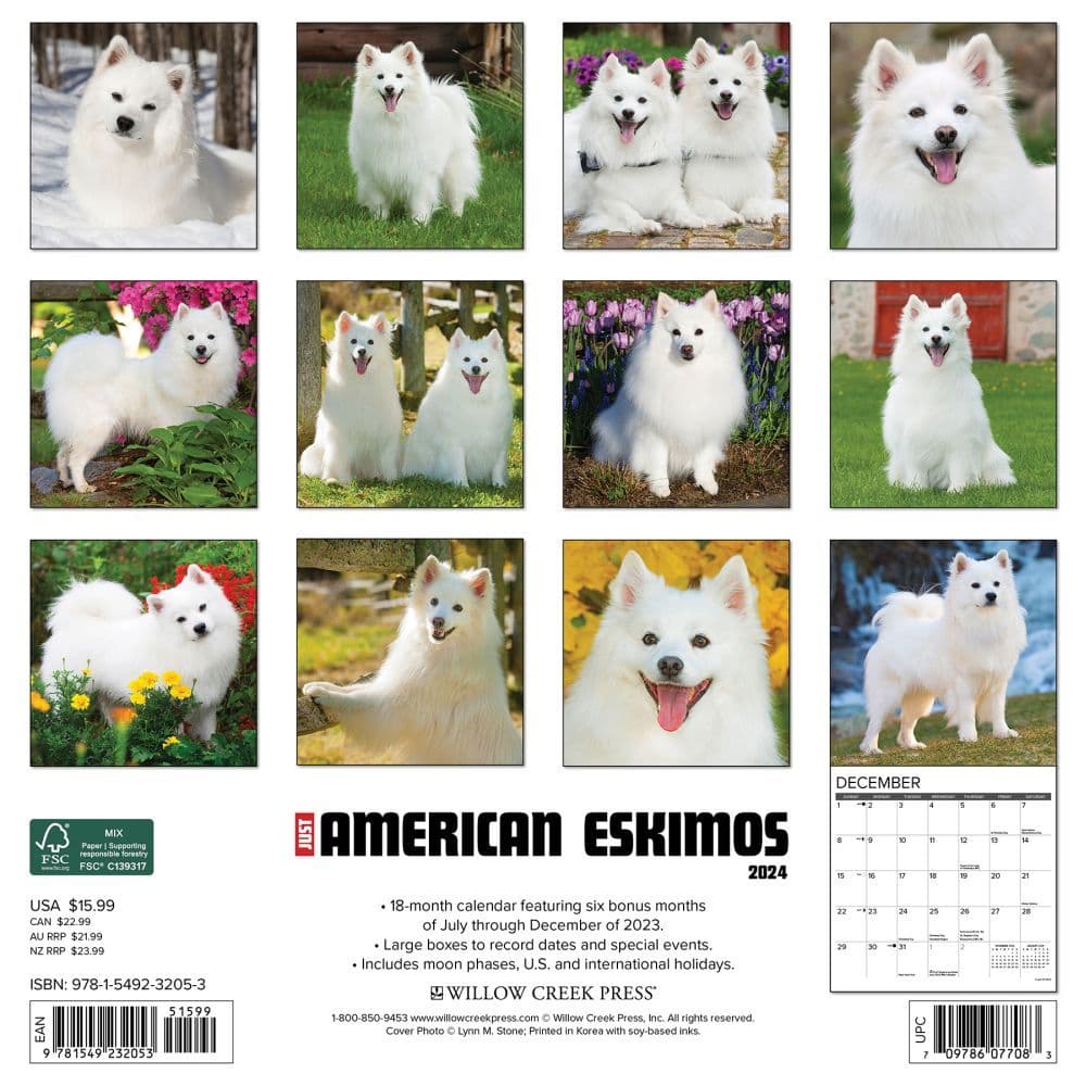 Just American Eskimo Dogs 2024 Wall Calendar