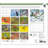 image Songbirds WWF 2025 Wall Calendar First Alternate Image width="1000" height="1000"