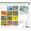 image Songbirds WWF 2025 Wall Calendar First Alternate Image width=&quot;1000&quot; height=&quot;1000&quot;