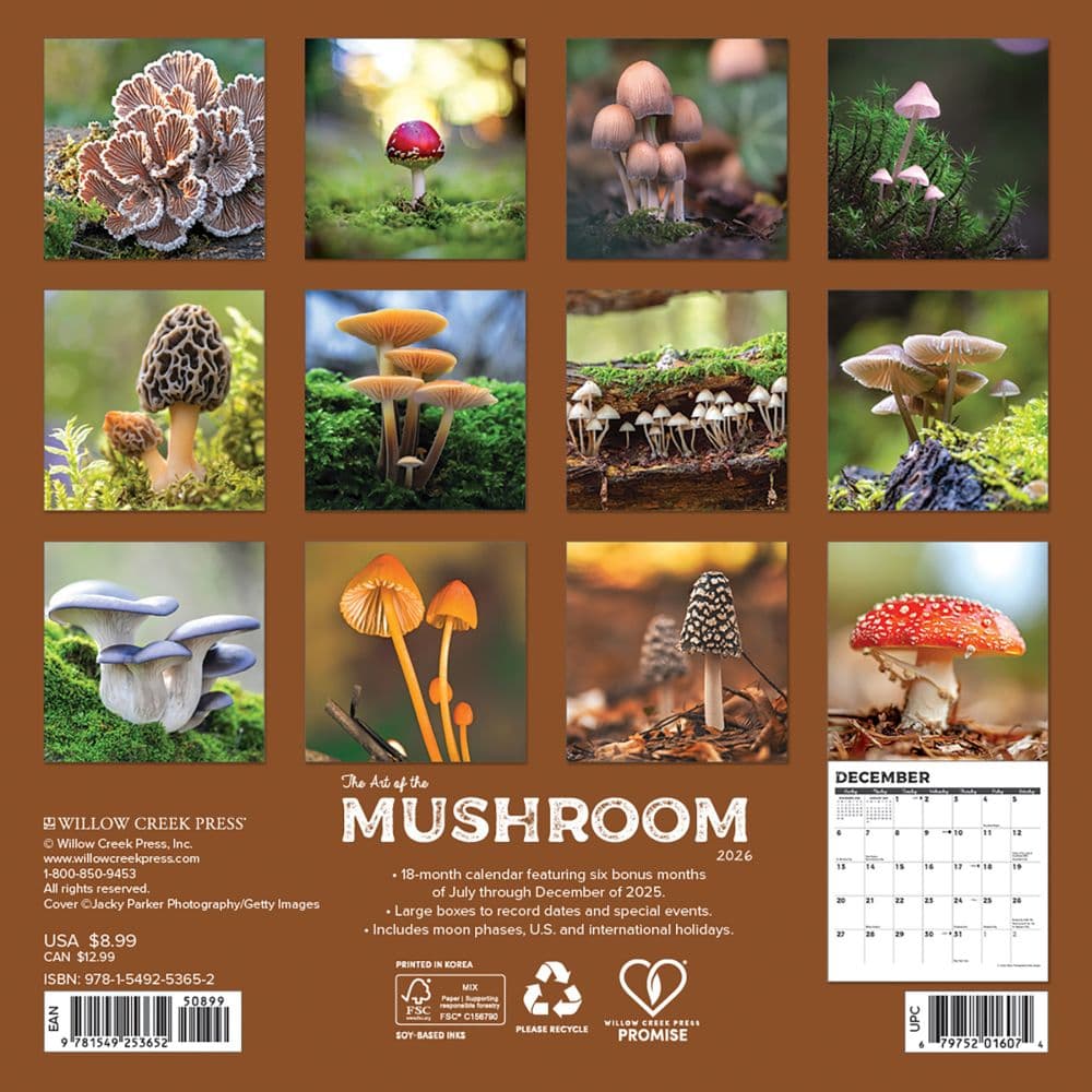 Mushrooms 2026 Mini Wall Calendar First Alternate Image