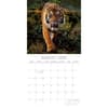 image Tigers 2026 Wall Calendar Third Alternate Image