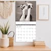 image Rachael Hale Loveable Animals 2026 Wall Calendar Fifth Alternate Image