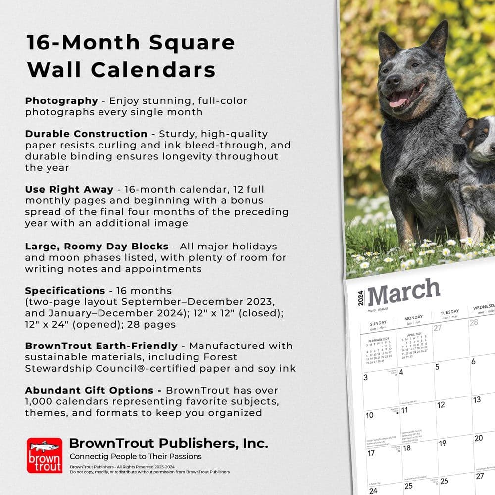 Blue Heelers 2024 Wall Calendar Fourth Alternate Image width=&quot;1000&quot; height=&quot;1000&quot;