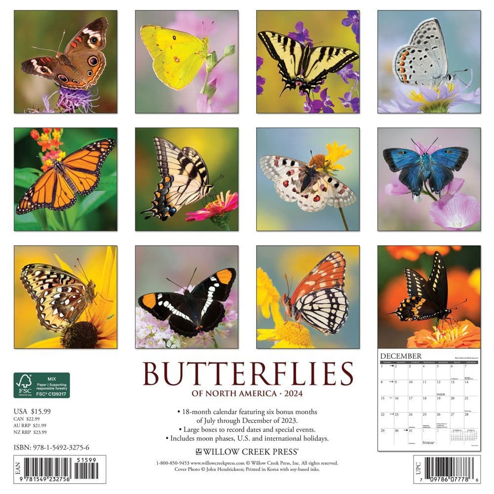 Butterflies 2024 Wall Calendar